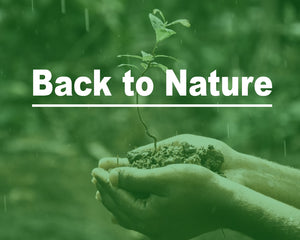 Back to Nature: 6 Tips to Help You Reconnect with the Natural World Around Us