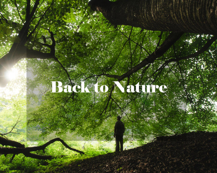 Back to Nature: How to Bring the Outside Inside
