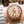 UD Engraved Watch Wood Watch with Genuine Leather/Canvas Watch Band